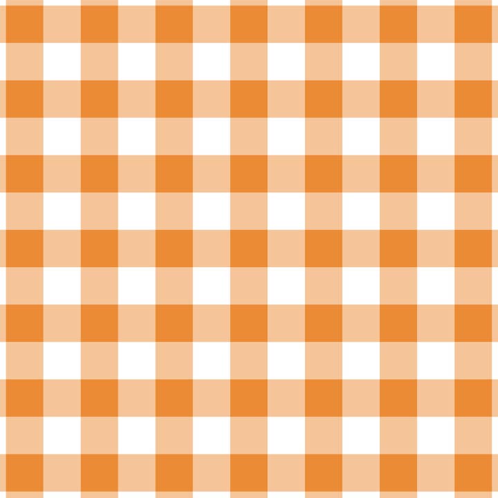 Beau Bottles - Wholesale Wine Gift Bag - Beau Bottles Orange and White Gingham - MINI Prosecco Collection - Six Pack4