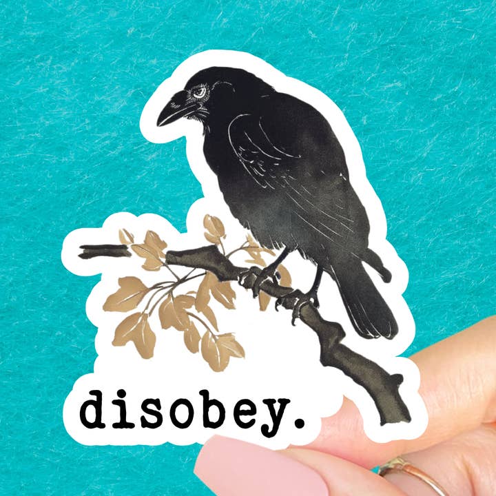 Disobey sticker, Social justice sticker, Laptop sticker for wholesale by Radical Buttons