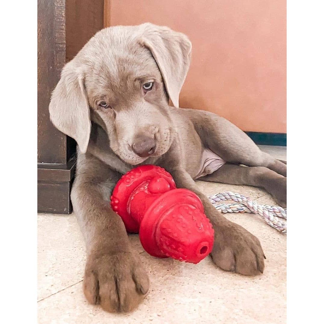 Elite Pet Distributors - Wholesale Pet Chew Toy - Dog - Spunky Pup The Hydrant Chew Toy for Dogs, Small4