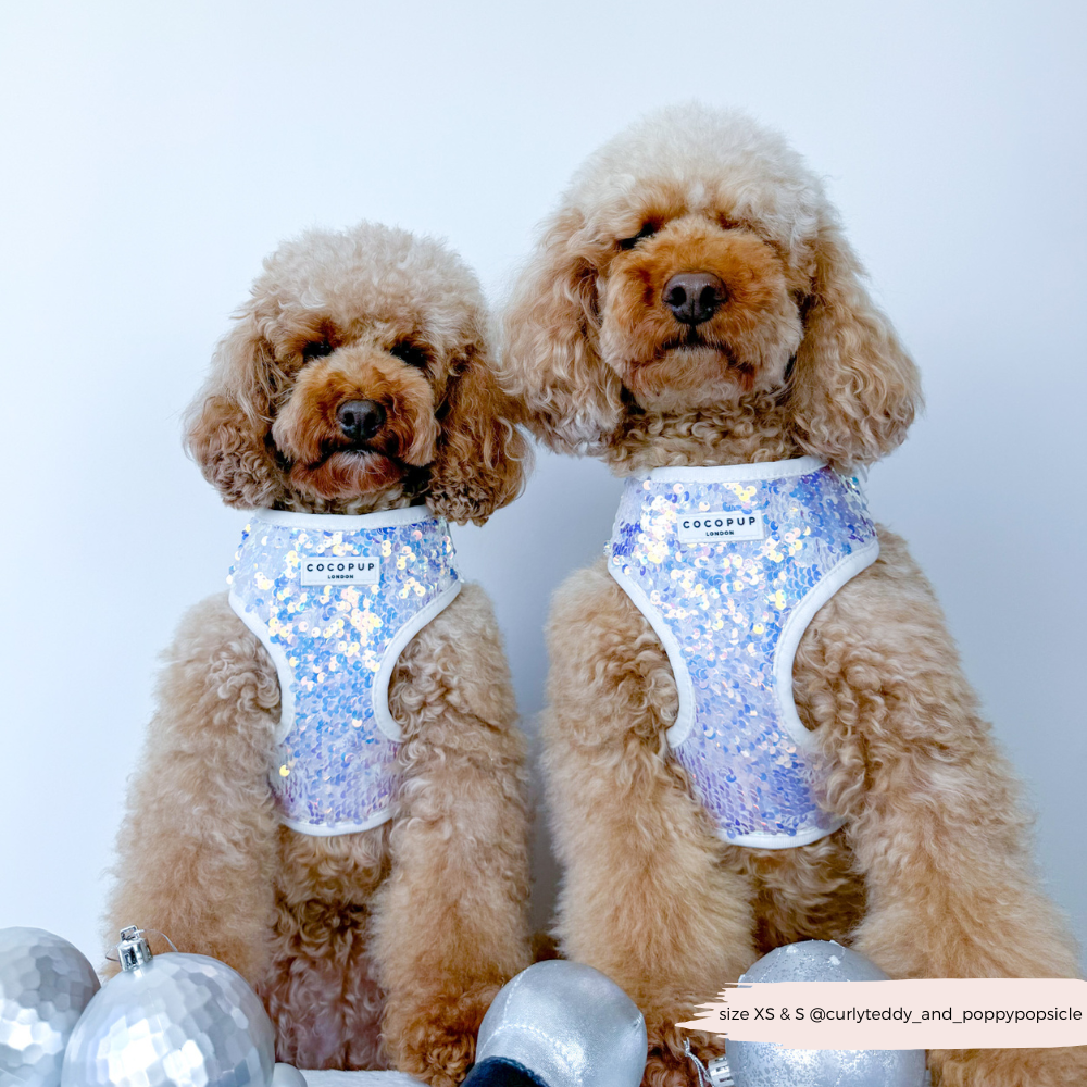 Cocopup London - Vendita all'ingrosso Pettorina - Cani - Imbracatura LUXE Party con Paillettes Olografiche5