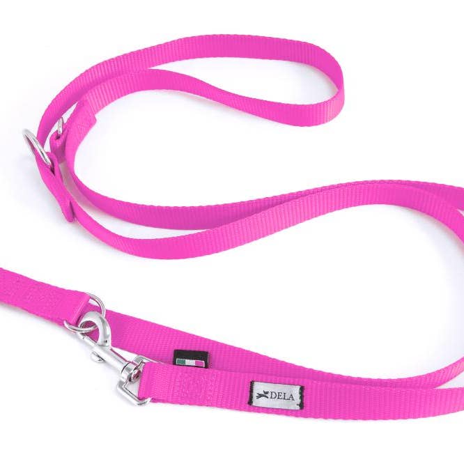 Nylon multifunctionele hondenriem, gemaakt in Italië voor wholesale door DELA