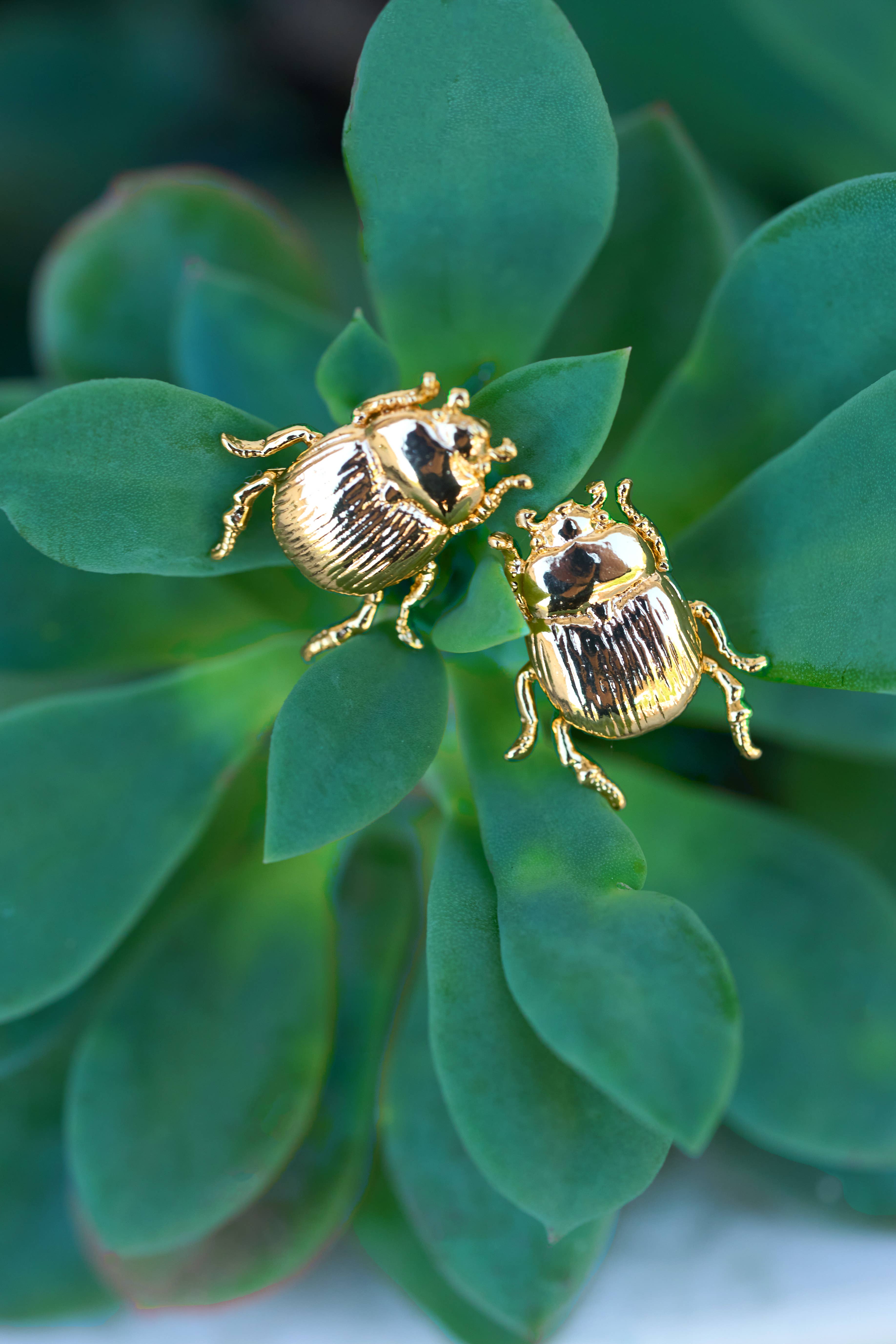 Peter and June - Wholesale Stud/Post Earrings - Fortune Beetle Studs -18K Gold Plated or Silver Rhodium6