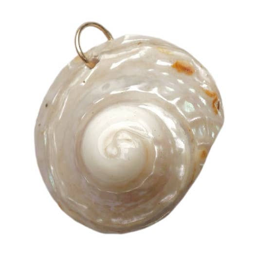 Large Wavy Turban Seashell Charm No. 03 for wholesale by ROOTSSEA