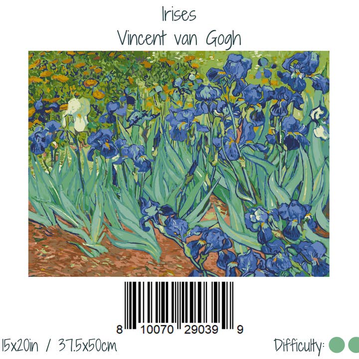 Winnie's Picks - Wholesale DIY Craft Kit - Irises, by Vincent van Gogh - Self-care Paint by Numbers kit
