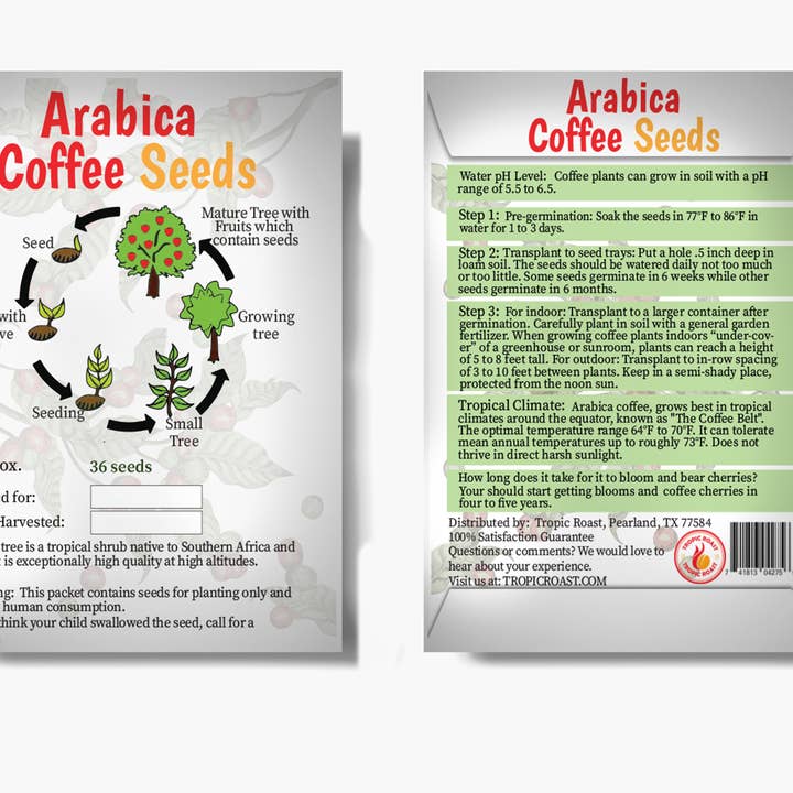 Arabica Seeds for wholesale by Tropic Roast