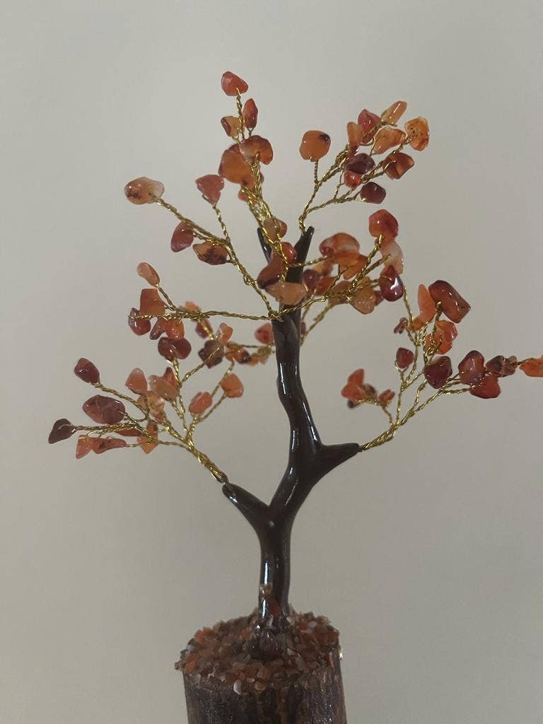 jiomind - Wholesale Spiritual Stone/Crystal - Red Carnelian Crystal Tree (100 chips)8
