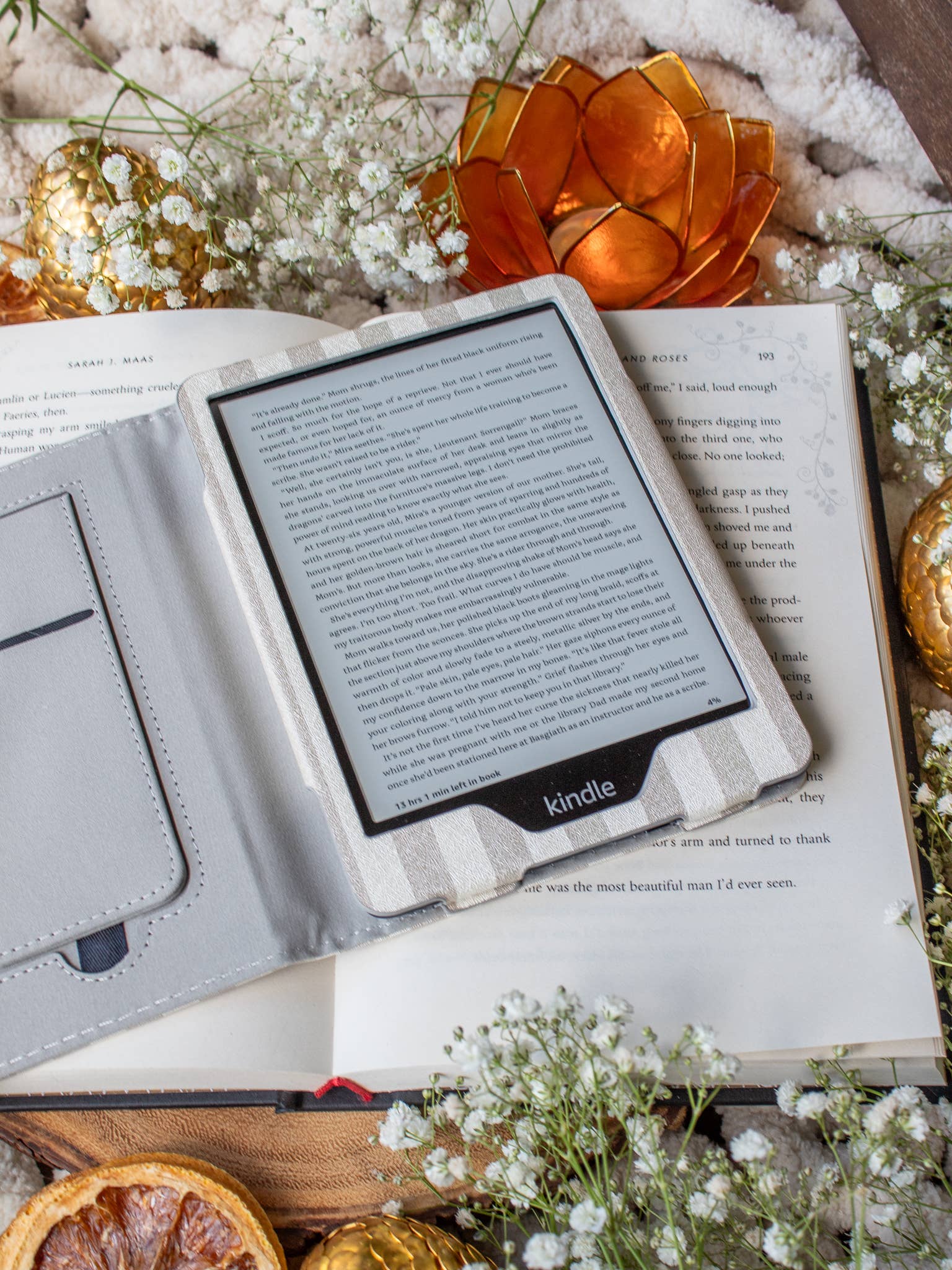 Meaggie Moos - Wholesale Book Cover - Kindle Case | Tan Stripes 2