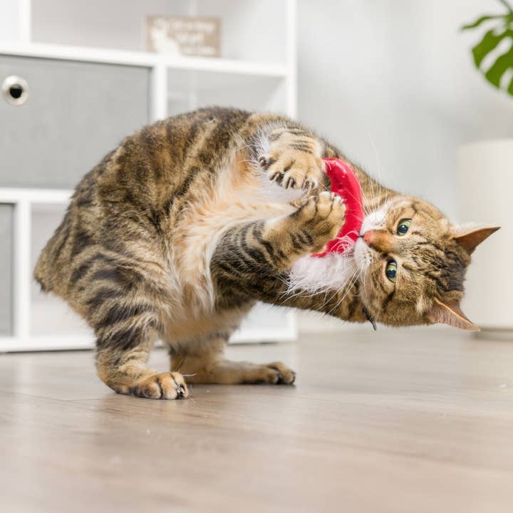 Huxley & Kent - Wholesale Pet Toy - Cat - Santa Hat & Sweet Thing Candy 2pk Cat Toy