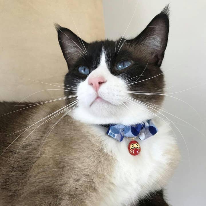 MOON-X USA, INC. – coleira - Gato por atacado – Gola de Gato Daruma Charm com Gravata Bow (Azul)6