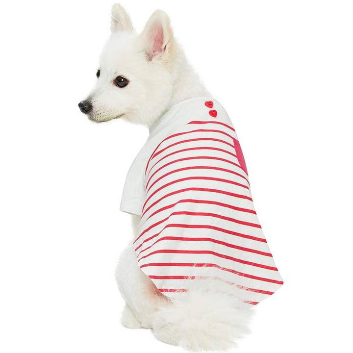 Blueberry Pet - Wholesale Pet shirt – Dog - Summer Vacation Beach Stripes Design Matching Dog & Kid T-shirt, Pink1