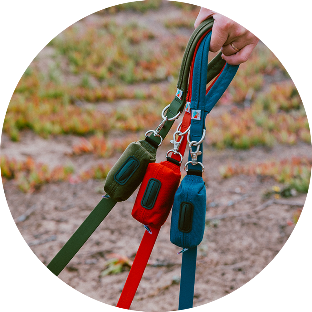 Wildebeest - Wholesale Pet Poop Bag Dispenser - Funston Dog Poop Bag Holder10