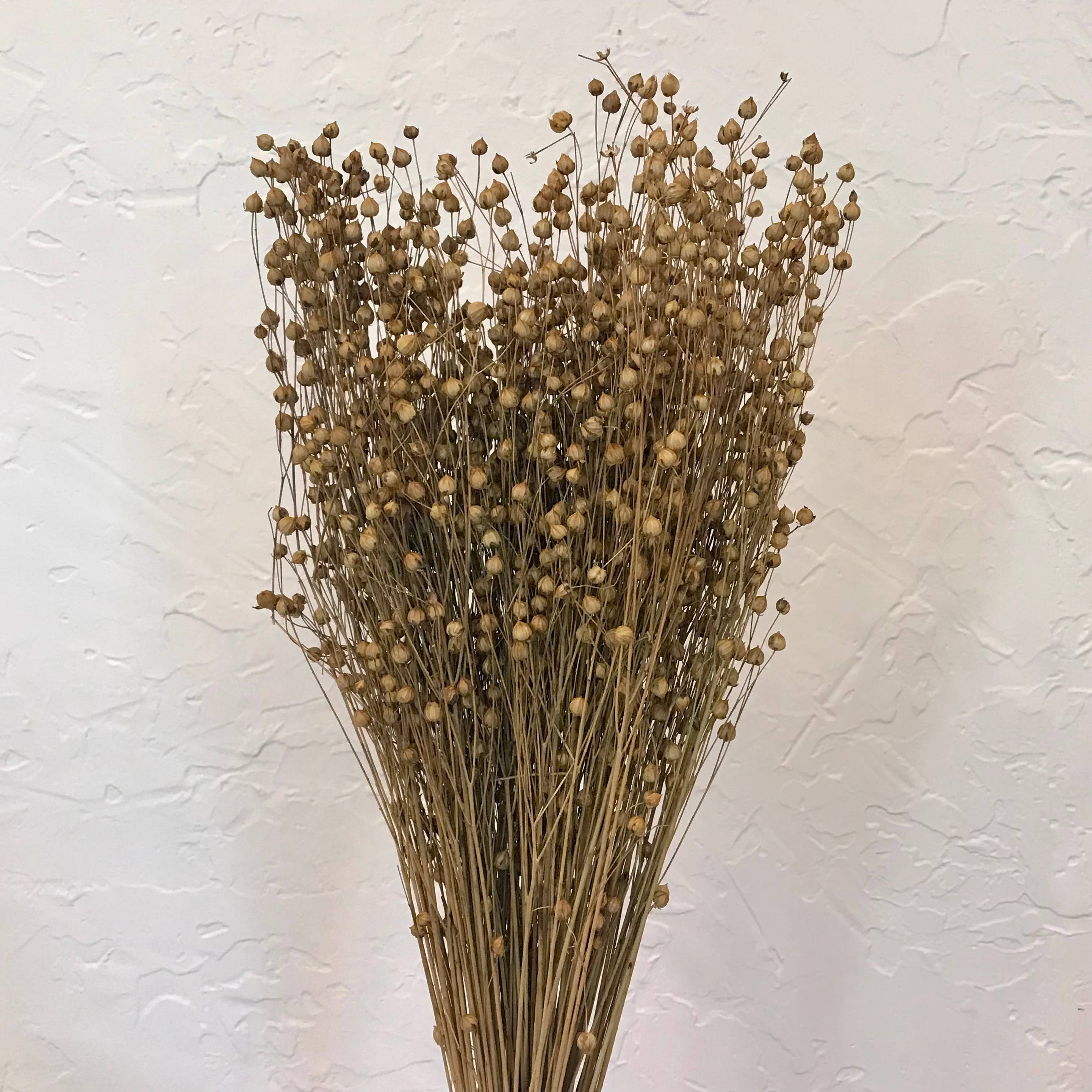 Wilco Home – Engroshandel Tørrede/pressede blomster – Alle naturlige tørrede Lino græs buket4