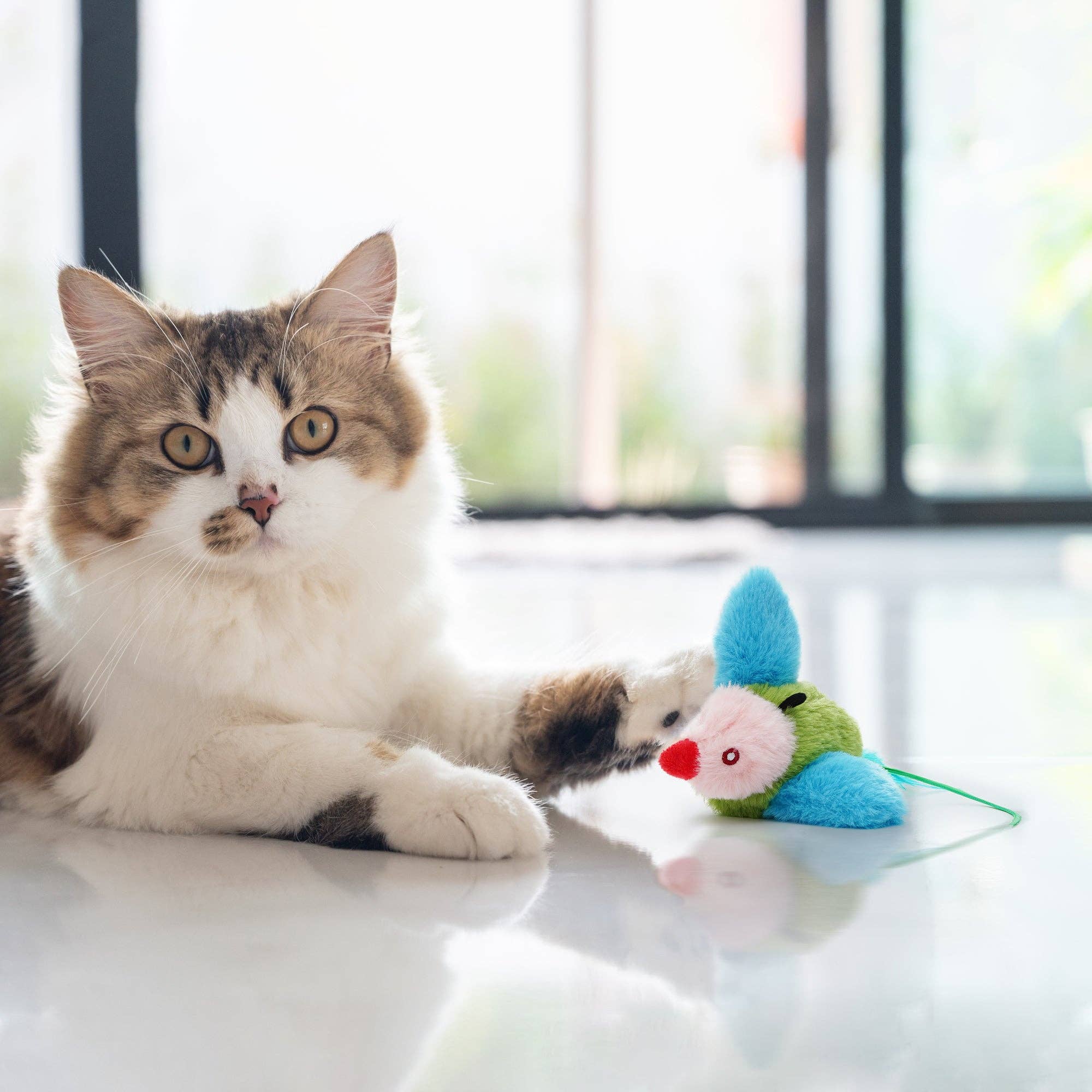 Nocciola - Wholesale Pet Toy - Cat - Colorful Flapping Bird Cat Toy4