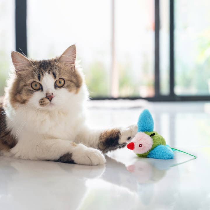 Nocciola - Wholesale Pet Toy - Cat - Colorful Flapping Bird Cat Toy4