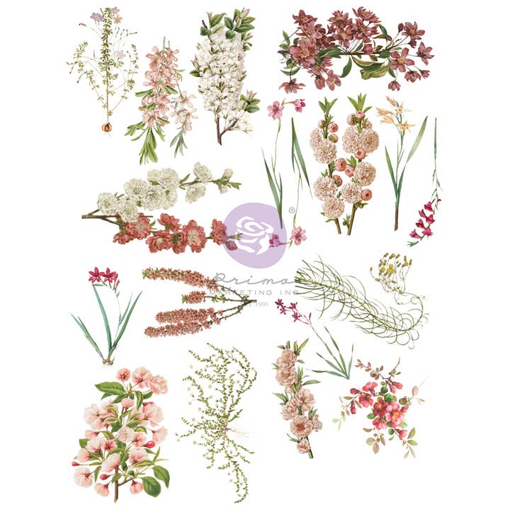 Prima 655350930295 pour la vente par Prima Marketing Inc