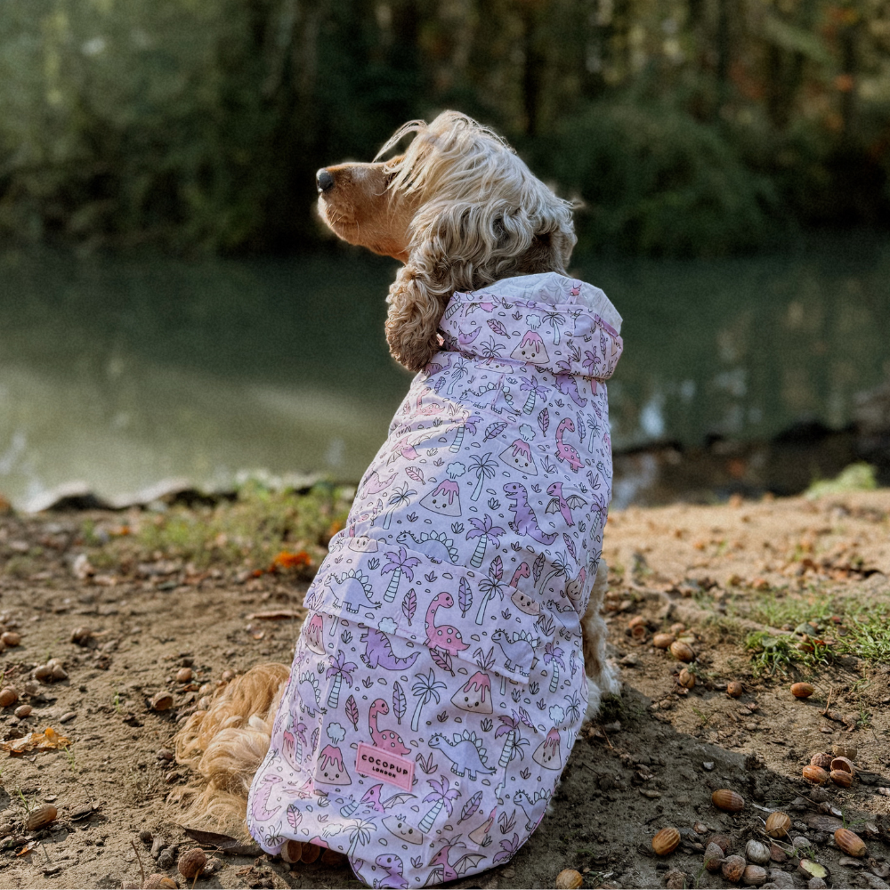 Cocopup London – wholesale Pet raincoat – Dog – Dog Raincoat - Princess Dino6