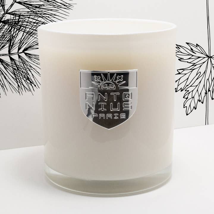 Mahagoni-Teakholz für den Großhandel von Maison Antonius