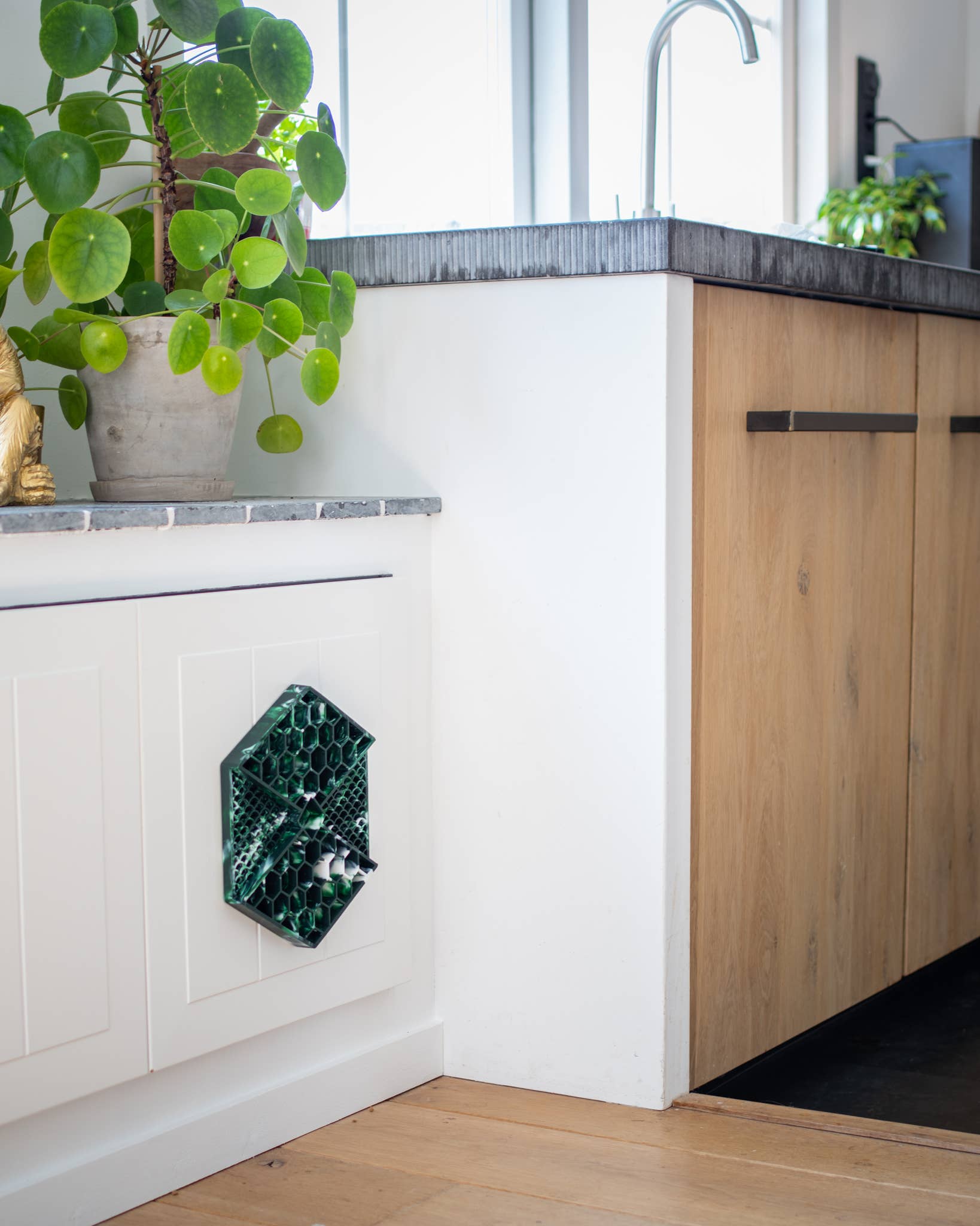 LIEVICK - Vendita all'ingrosso Tappetino sottociotola per animali - Cane - LIEVICK tappetino da leccare verde scuro e bianco1