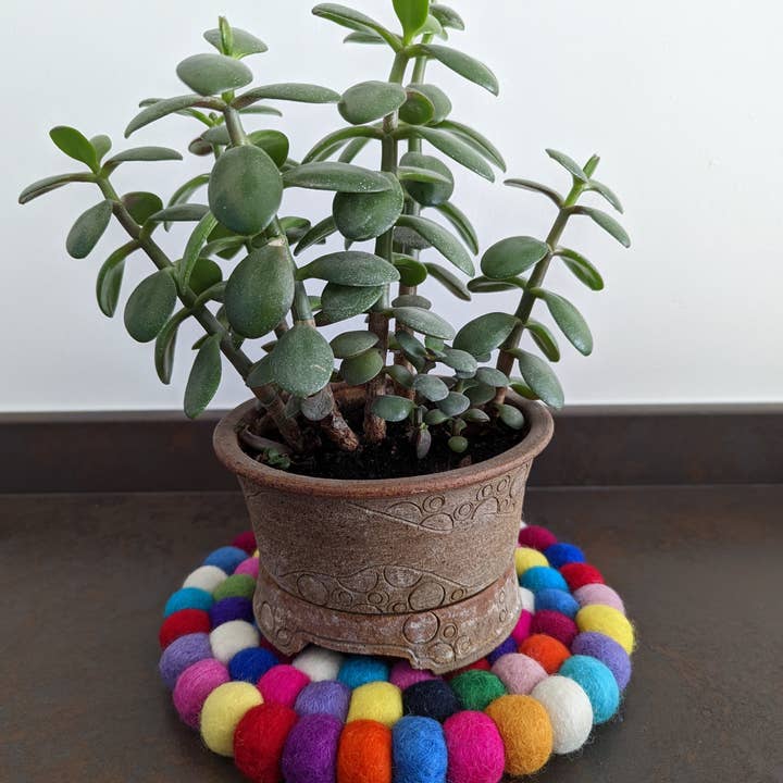 Cool Trade Winds - Wholesale Placemat - Fun Felt Wool Ball Placemat / Trivet14