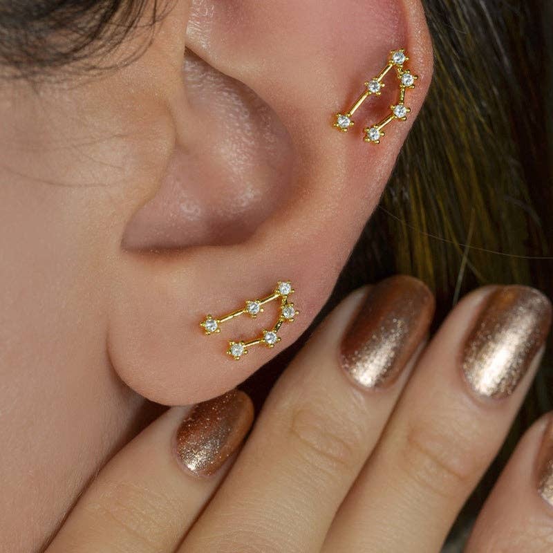 StockJWL - Wholesale Stud/Post Earrings - 12 Zodiac Earrings, Constellation Stud Earring Stud Piercing Tragus Helix Lobe and Cartilage Silver And Gold57