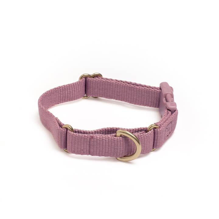 Awoo - Wholesale Pet Collar - Dog - Marty Collar9