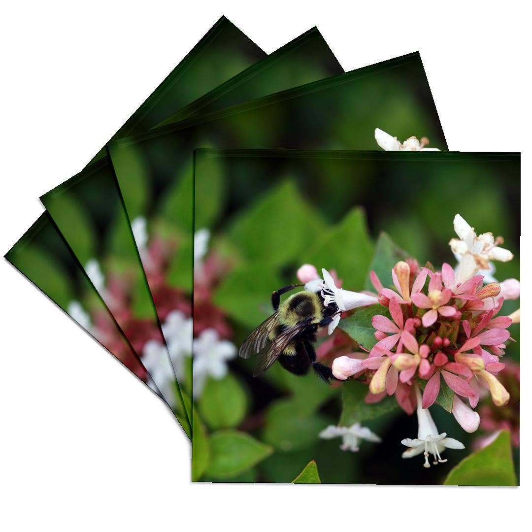 3dRose - Venta al por mayor Posavasos - 3dRose, Fotografía de una abeja con su cara metida en una flor de abelia., Posavasos0