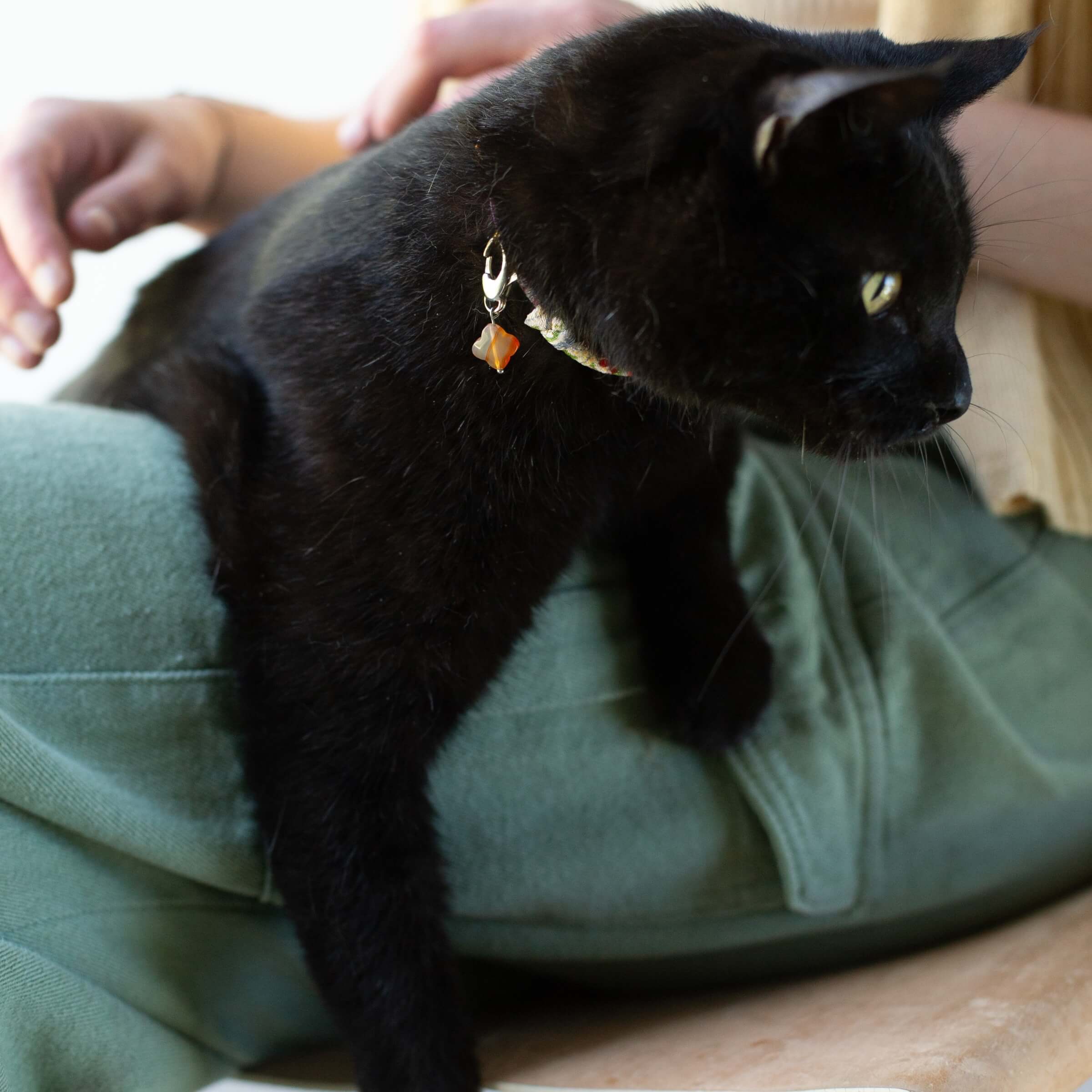 SoulKu - Wholesale Pet Collar Charm - Cat/Dog - Carnelian Pet Charm for Happiness3