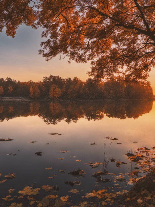 Efterår langs en sø Fotografi II for engroshandel hos Keep Calm Collection