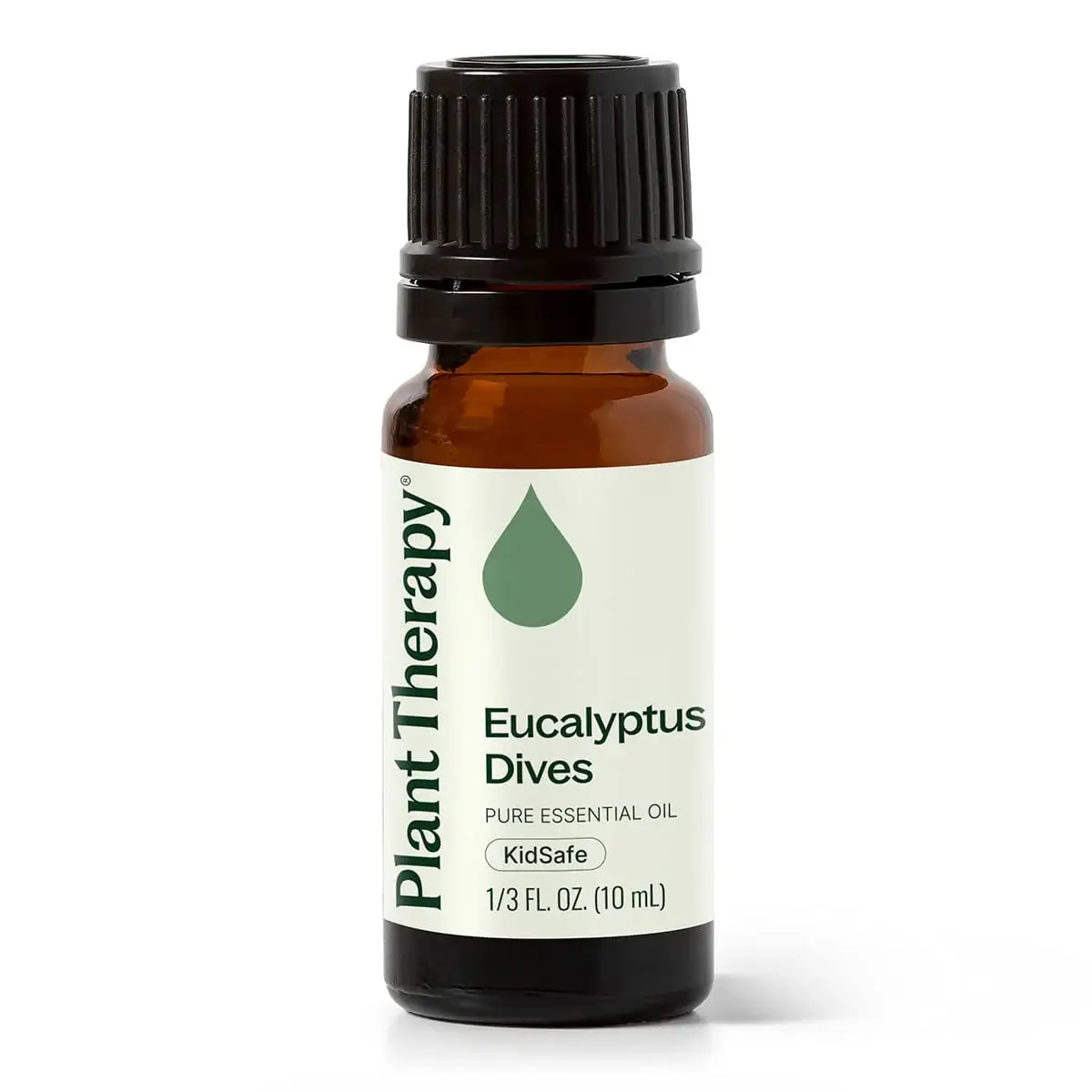 Plant Therapy - Wholesale Essential Oil - Eucalyptus Dives Essential Oil 10 mL0