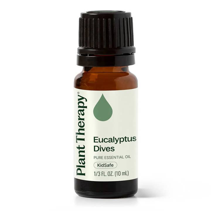 Plant Therapy - Wholesale Essential Oil - Eucalyptus Dives Essential Oil 10 mL