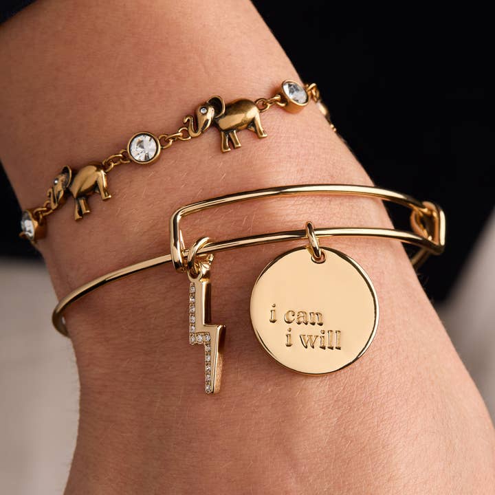 Alex and Ani - Vente Bracelet jonc - Bracelet Duo Charm « Je Peux, Je Veux »1