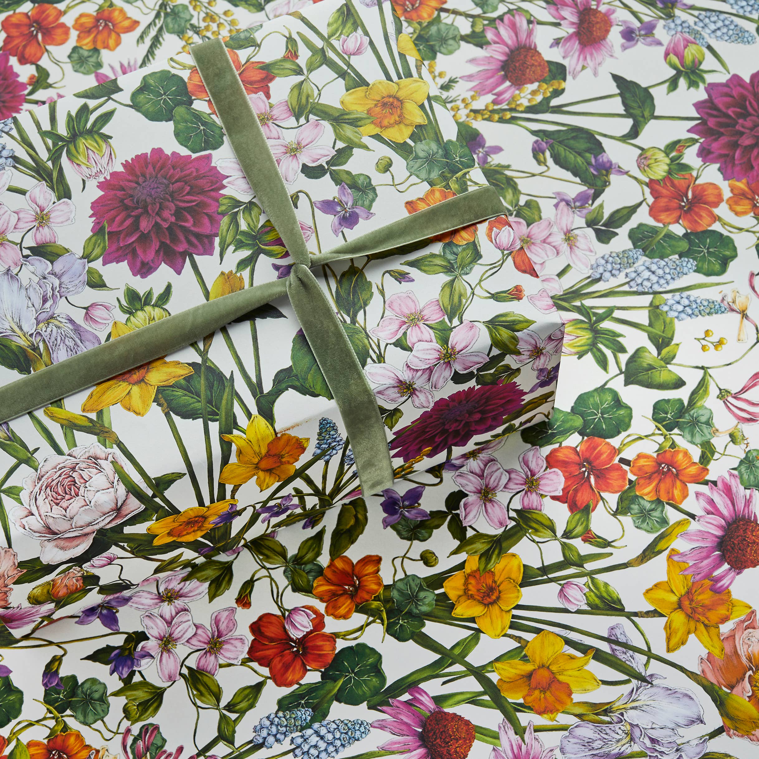 Catherine Lewis Design - Wholesale Flat Wrap - Bountiful Blooms - Ivory - Floral Gift Wrap / Botanical Paper1