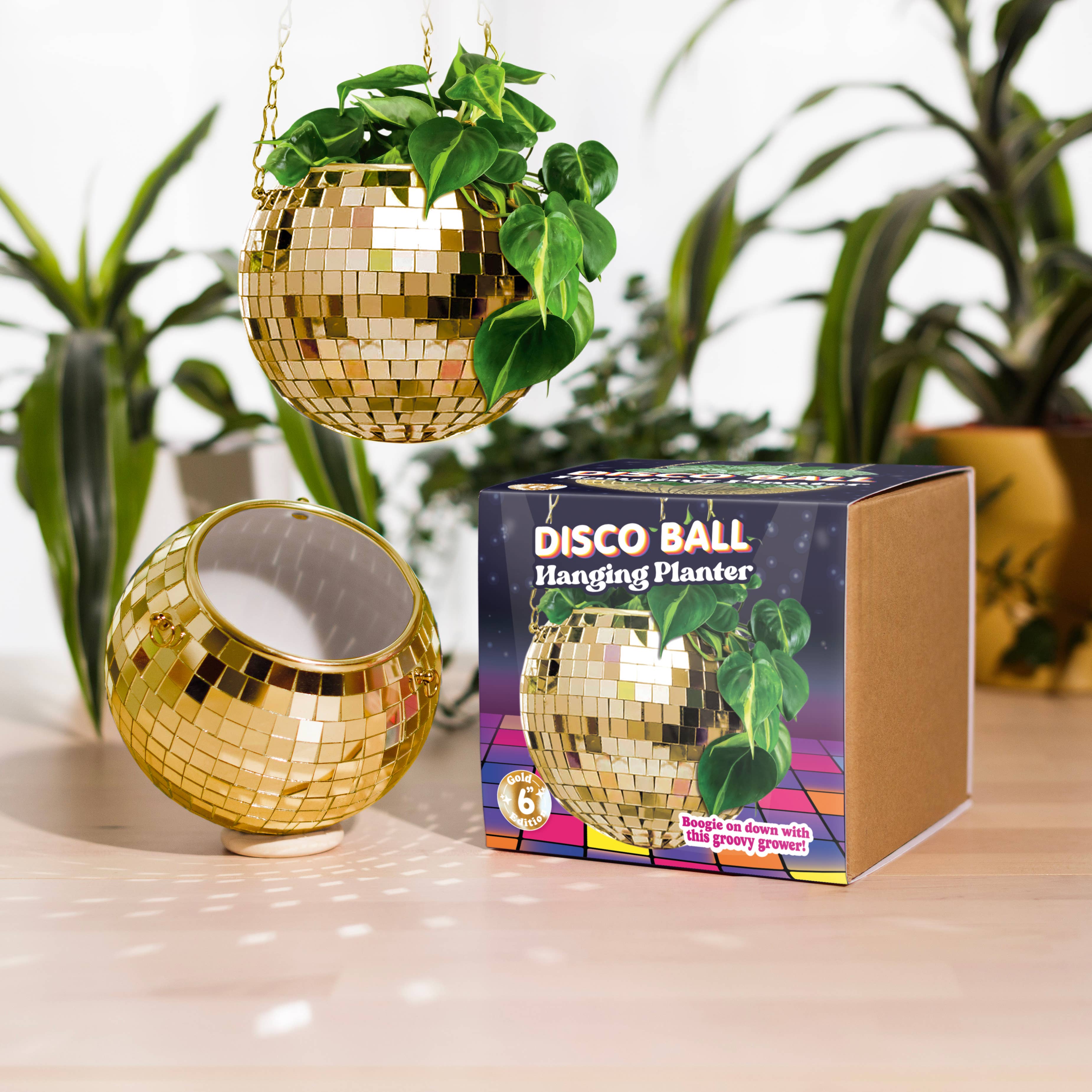 Bubblegum Stuff UK – Großhandel Pflanzenampel – Disco-Kugel Hängepflanzer Gold 6-Zoll | Wohnaccessoire Geschenk5