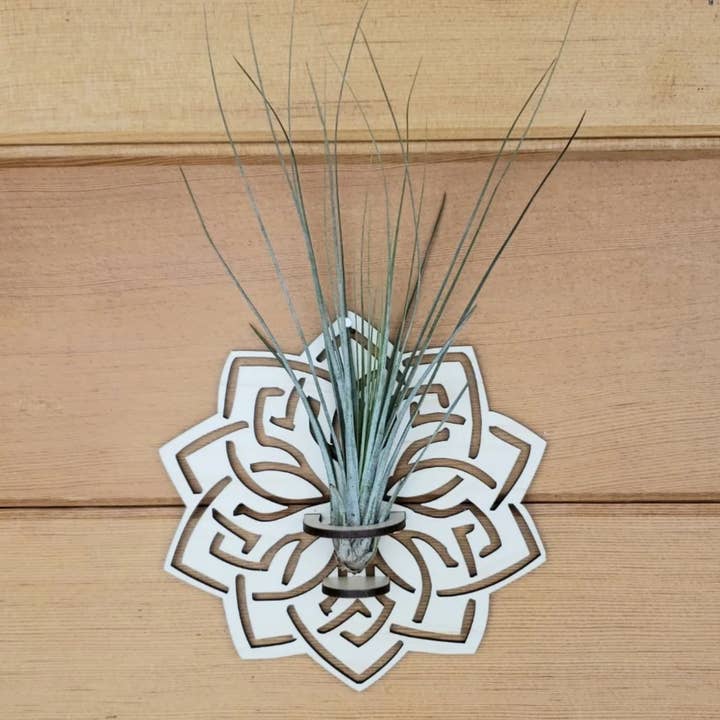 Air Plant Holder - Wall Mounted Medallion for wholesale by Catchpenny