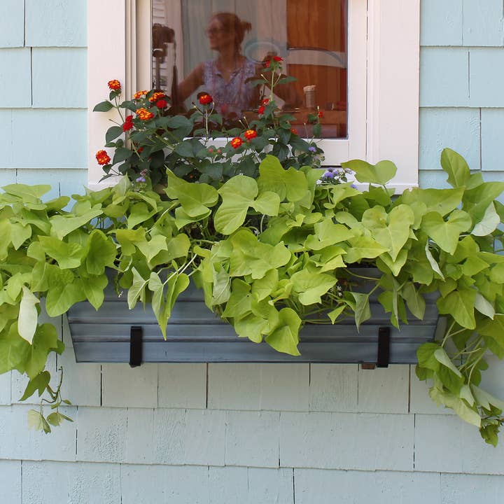 Caixa Flor Azul Grande - Suportes de Parede por atacado de ACHLA Designs