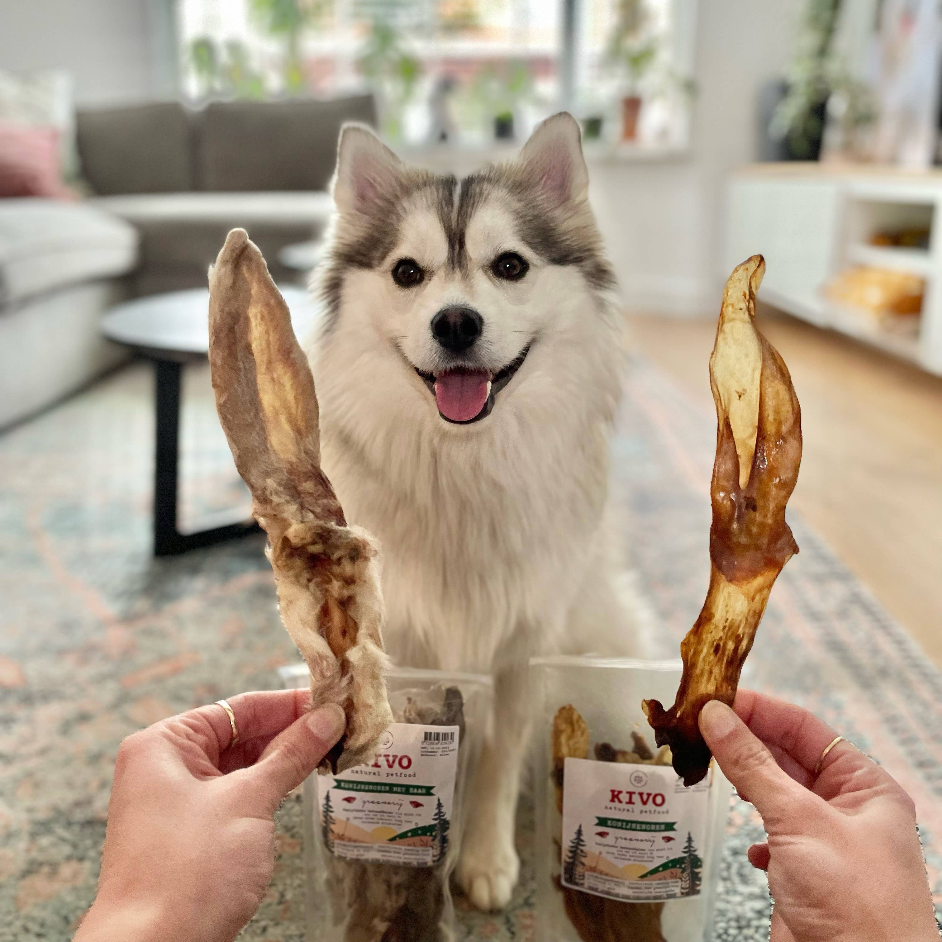 Kivo Petfood - Wholesale Pet Treats - Dog - Dog Snack - Rabbit Ears - 100g1