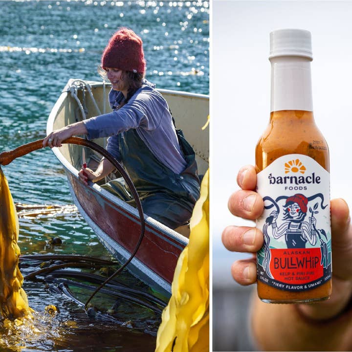 Barnacle Foods – Molho picante por atacado – Molho de Pimenta Bullwhip8