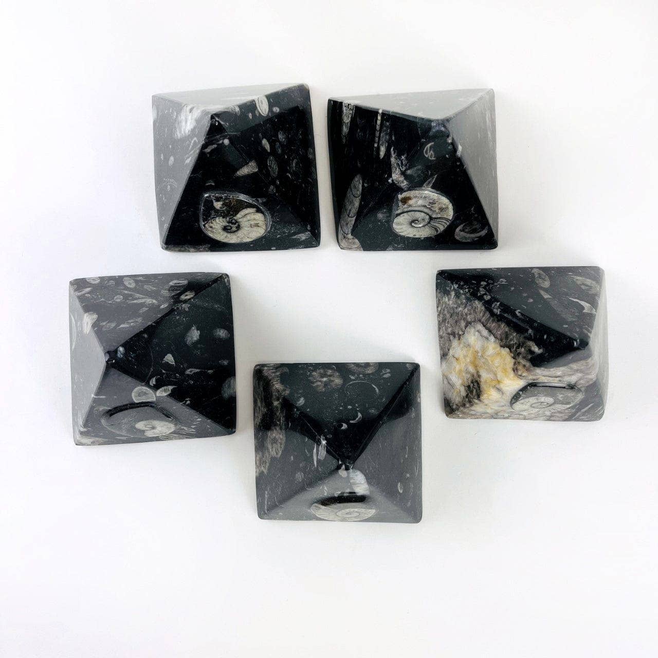 Rock Paradise – wholesale Decorative tabletop object – Ammonite and Orthoceras Fossil Pyramid4