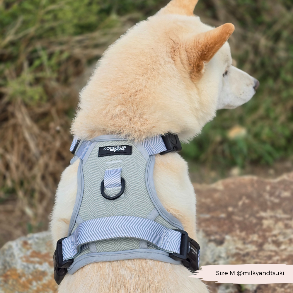 Cocopup London - Wholesale Tuig voor huisdieren - Hond - Verken Harness - Salie Tweed12