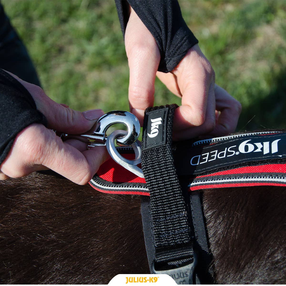 Julius K9 - Wholesale Pet Harness - Dog - ERGONOMIC LIGHTWEIGHT RESISTANT SPEED RUNNING DOG HARNESS RED4