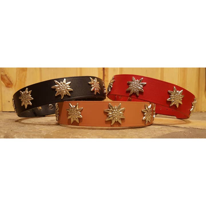Alpen Schatz – wholesale Pet collar – Dog – 1 1/4" Medium Edelweiss Swiss Dog Collar