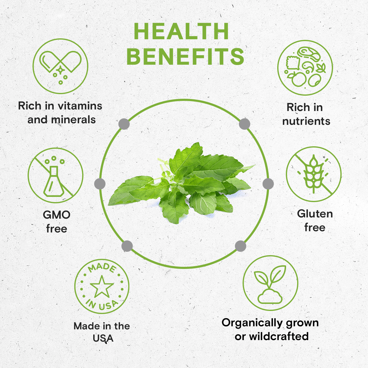 Secrets Of The Tribe - Wholesale Tincture - Holy Basil Tincture4