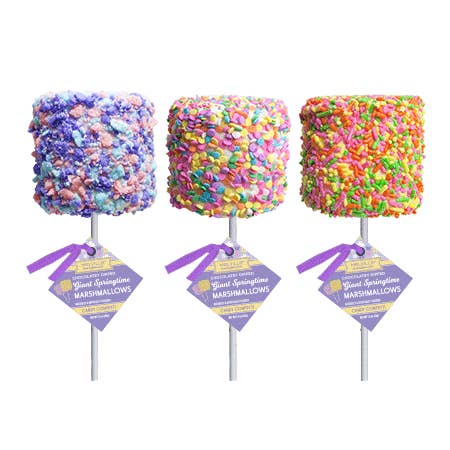 Melville Candy Company - Wholesale Marshmallow - Giant Marshmallow Pops - Spring Assorted1