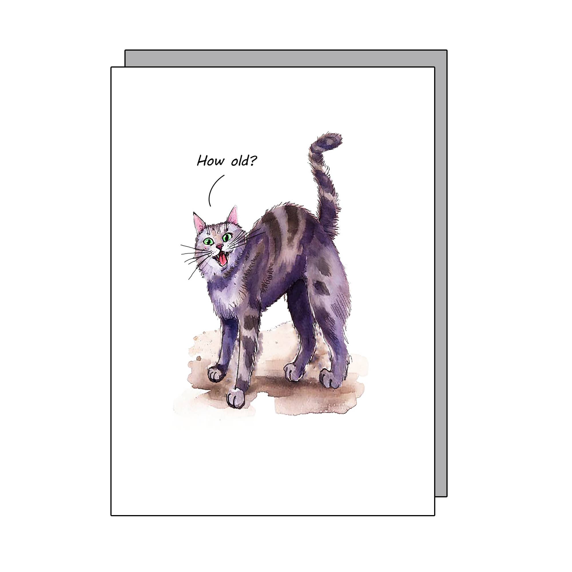 Go La La – wholesale Birthday card – Cat how old birthday card    0