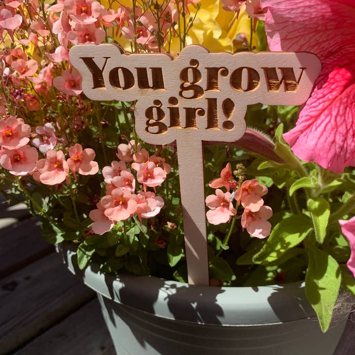 Enjeux de plantes drôles pour la vente par WestCoasters BC