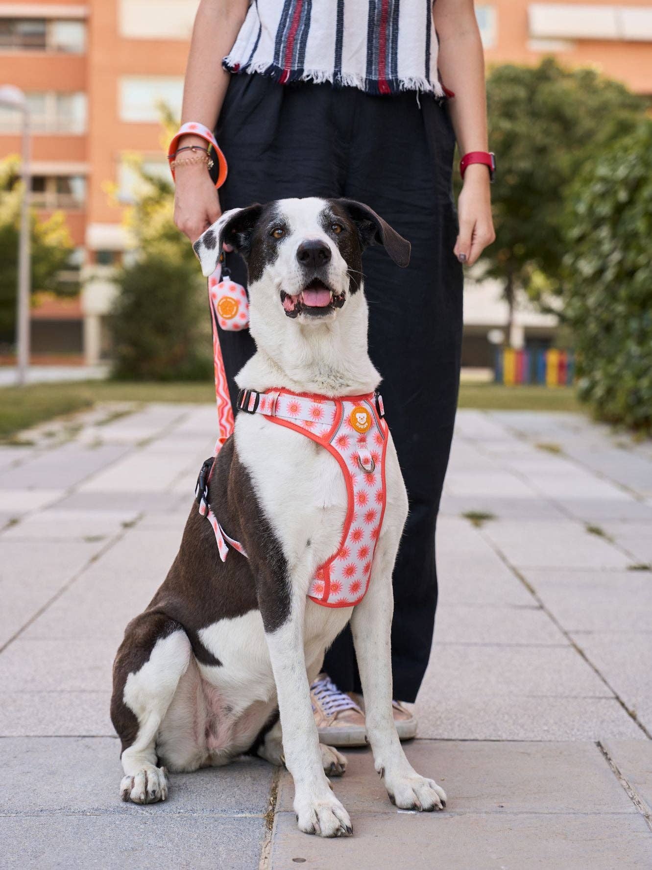 Dukier - Wholesale Pet Harness - Dog - SUN DOG TRAIL HARNESS2