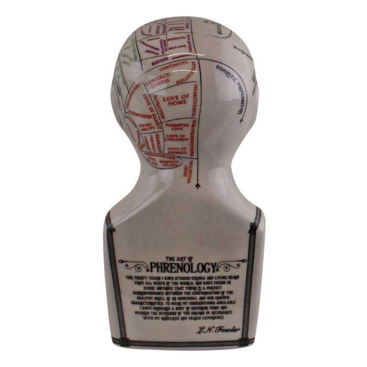 White Black Small Ceramic Crackle Phrenology Head for wholesale on Faire