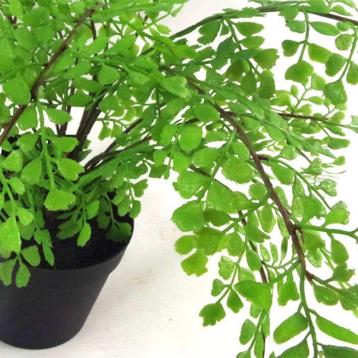 Leaf Design UK LTD – wholesale Konstgjord växt – Konstgjord ormbunke planta i kruka, Maidenhair-ormbunke 35 cm1