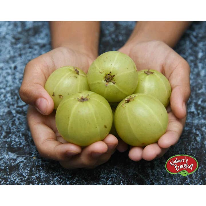 Natures Basket - Wholesale Oral Supplement/Vitamin - Nature's Basket Amla (Gooseberry) Extract 900mg 60 Capsules
