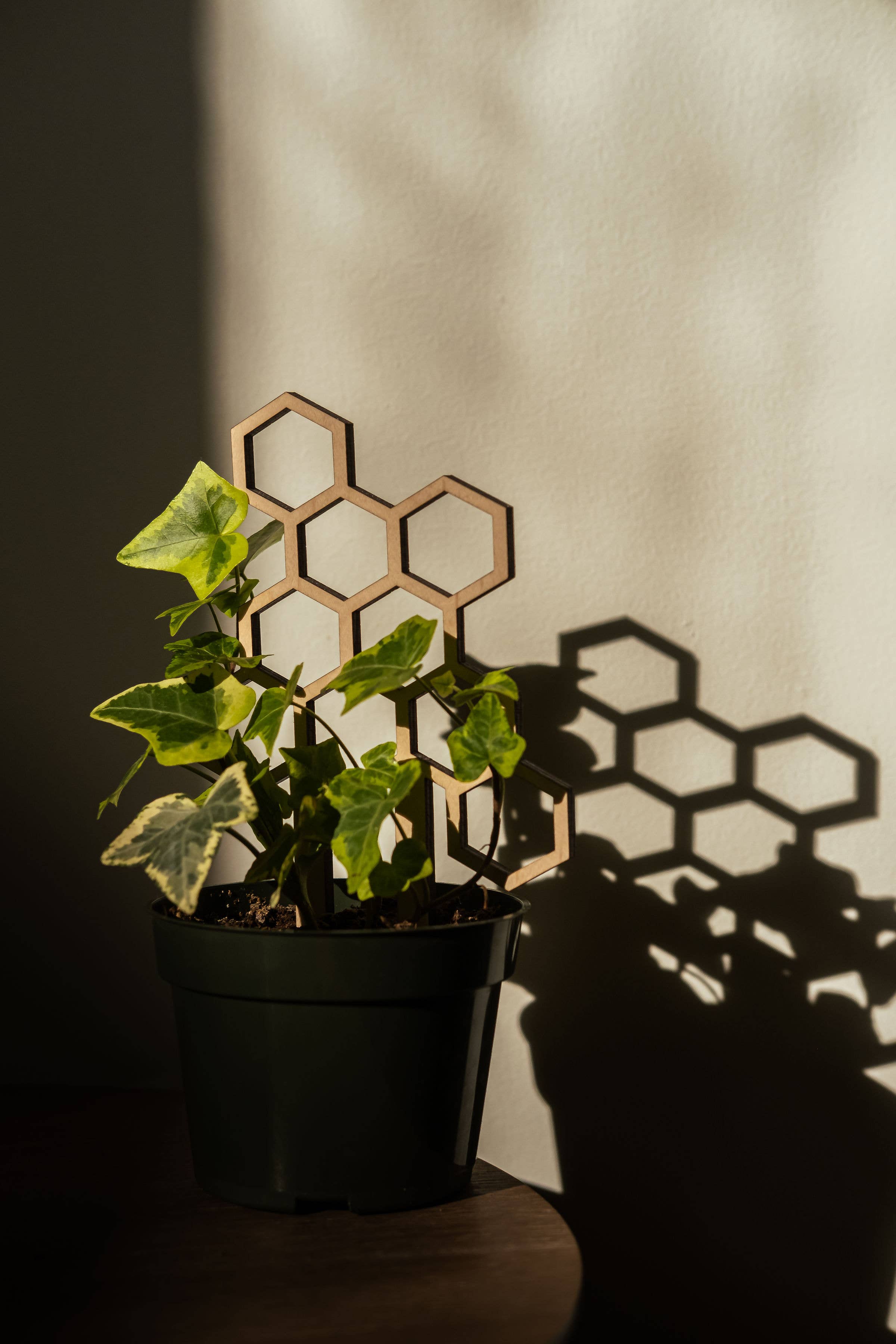 PlantsNsht – wholesale Spaljé – 7,5” Bikakestruktur Växt spaljé1